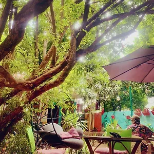  Hostal Vague